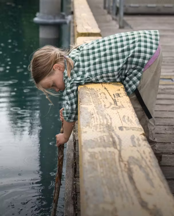 Stio Sales Shop 42 Stio Sales Shop -Stio Sales Shop 344d44bd 46bd 4917 aa1f 4afd69ce460b 240301 Cat Bucket Kids